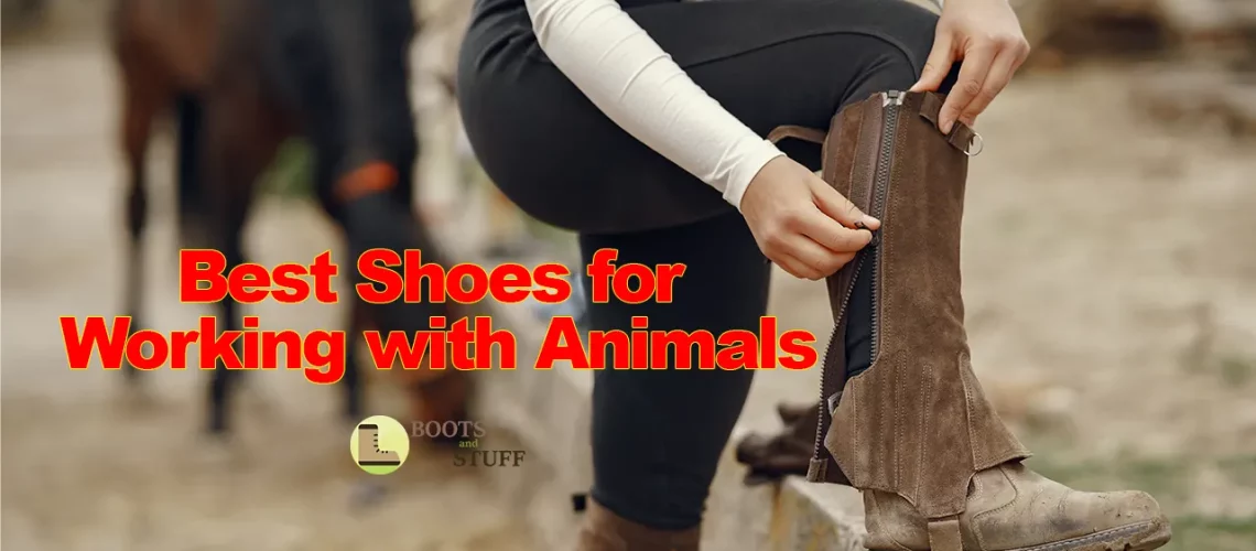 Best Shoes for Working with Animals