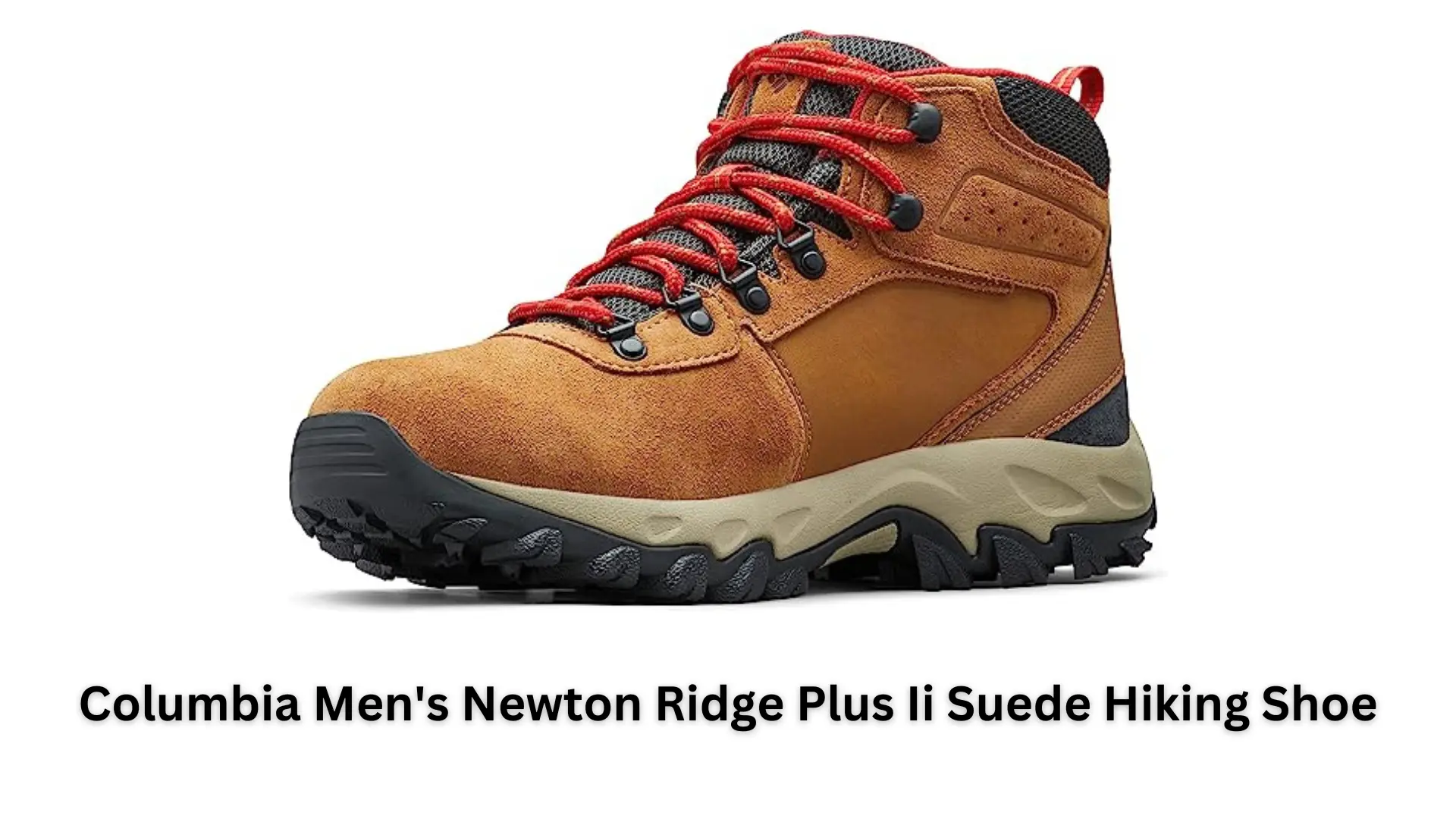Columbia Men's Newton Ridge Plus Ii Suede Waterproof Hiking Boot Image